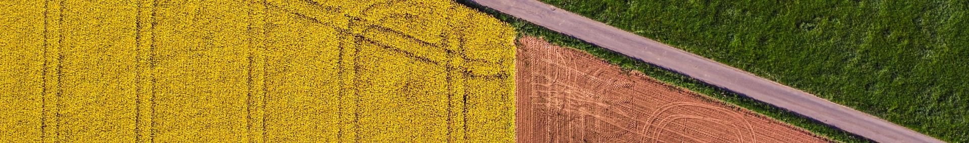 Fields
